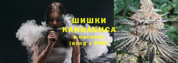 прущий лед Тайга