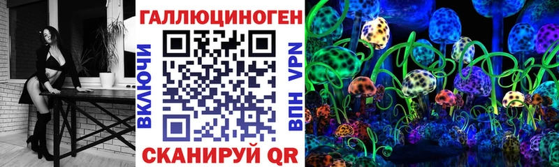 Псилоцибиновые грибы Psilocybine cubensis  Сургут 