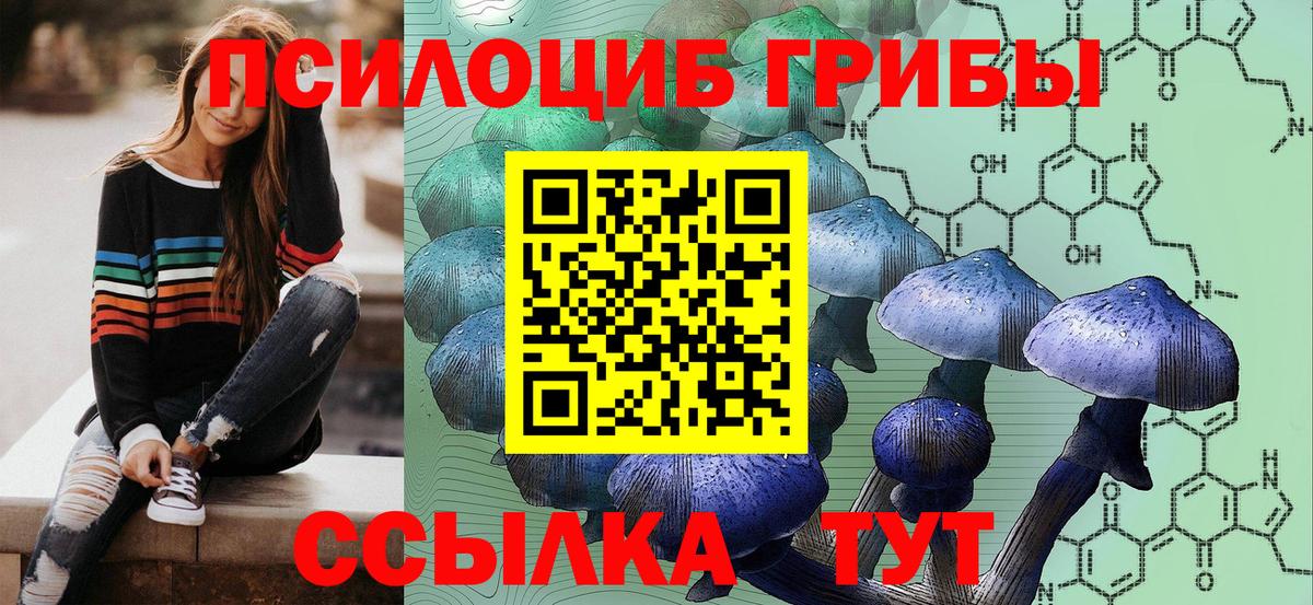 Сургут  Галлюциногенные грибы Psilocybe  Вход с VPN 